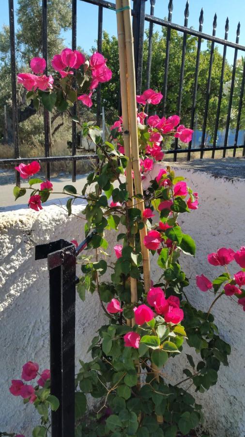 Barefoot Cottage مدينة سكياثوس المظهر الخارجي الصورة